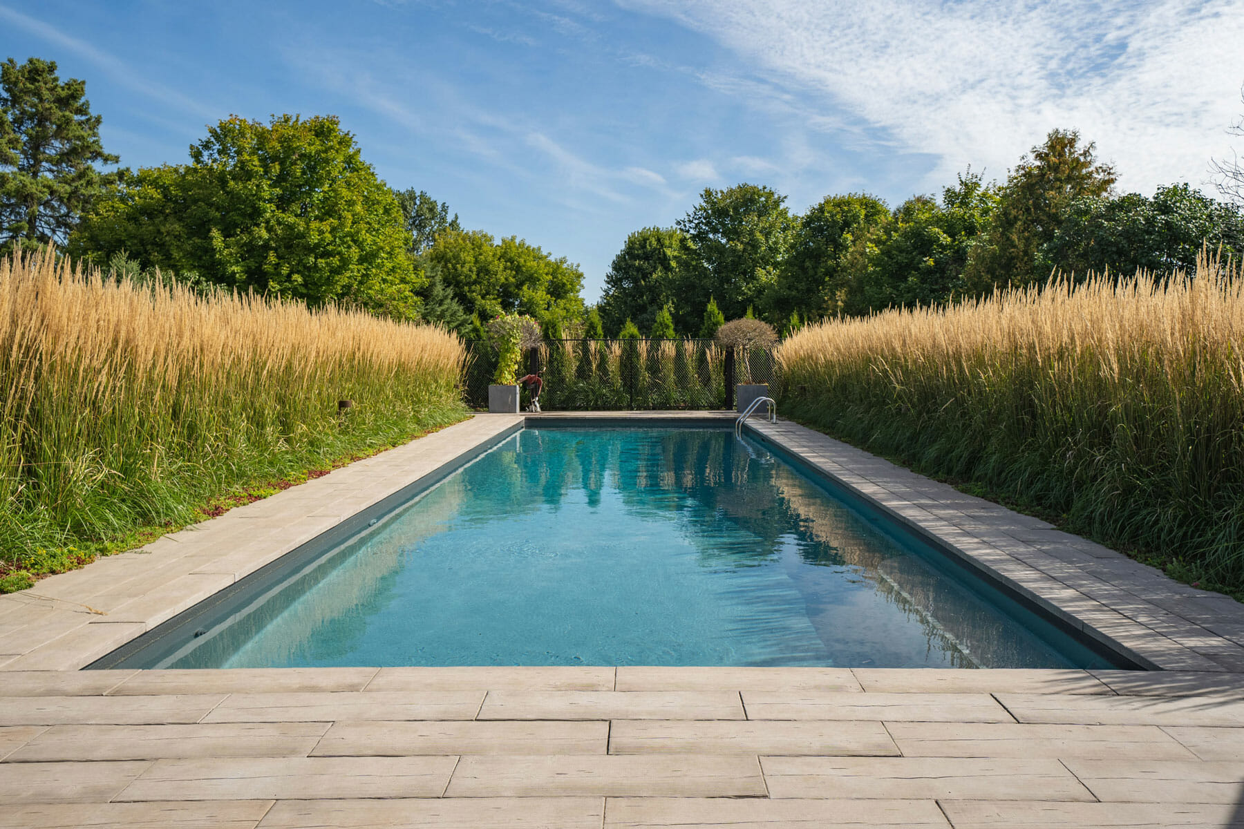Backyard pool setting surrounded by stonework, decorative grass and trees