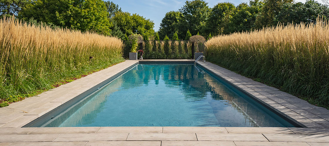 Backyard pool setting surrounded by stonework, decorative grass and trees